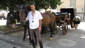 Konja Noni in Barson na vožnje po mestnih ulicah čakata v senci na Grajskem trgu