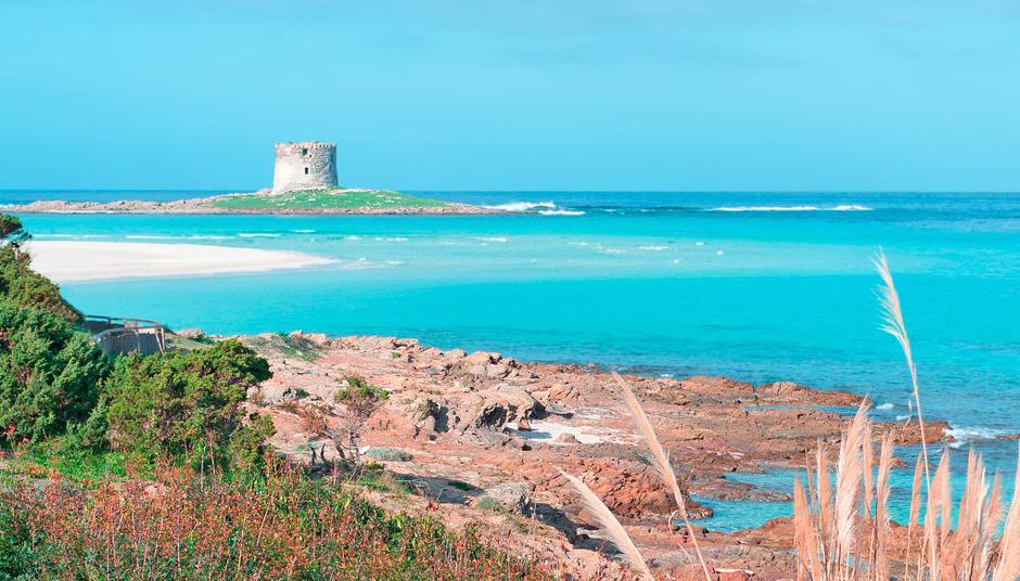  La Pelosa, Sardinija | Avtor: Shutterstock