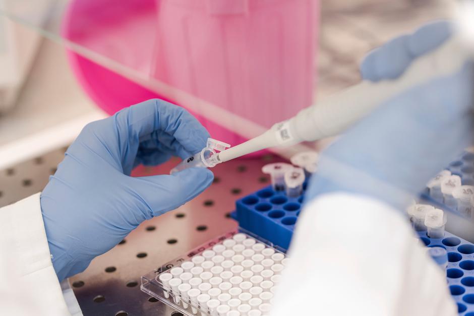 Covid-19 | Avtor: Profimedia