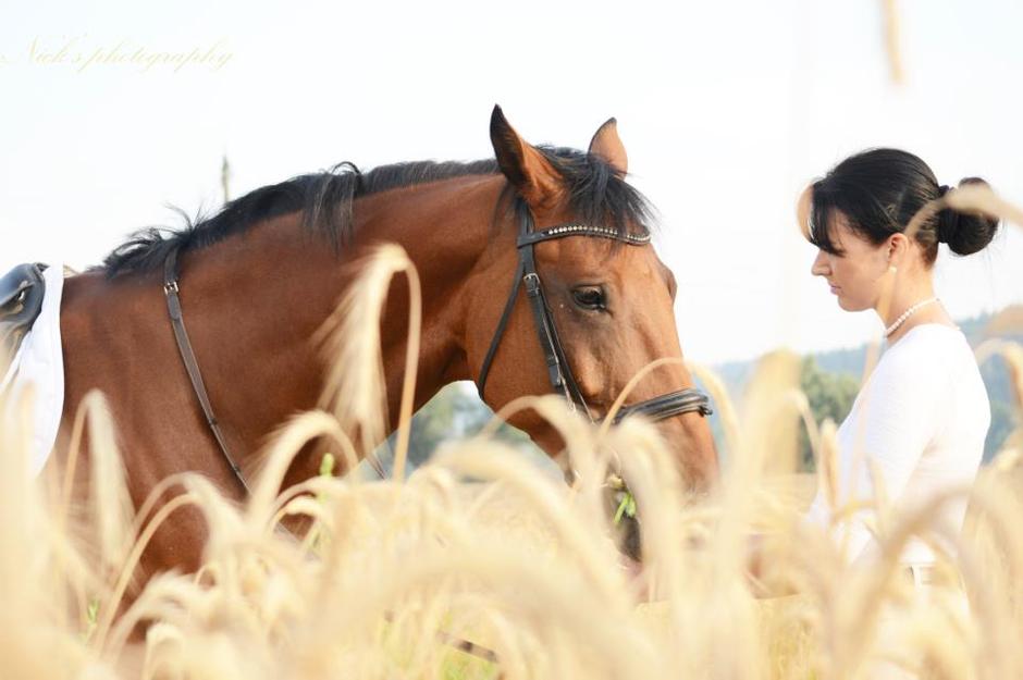 Konjeniški klub gibanje | Avtor: Konjeniški klub Gibanje