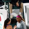 serena williams jelena janković dubaj