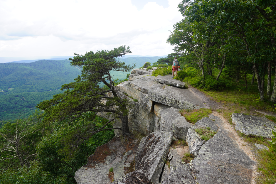 Apalaška pot | Avtor: Jera Mušič