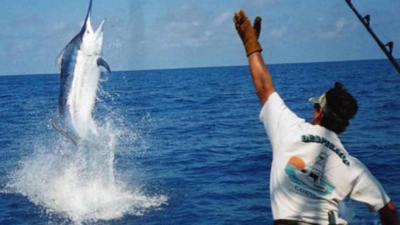 Zaradi športnega ribolova je zgolj v Avstraliji v enem letu umrlo 15 ljudi.