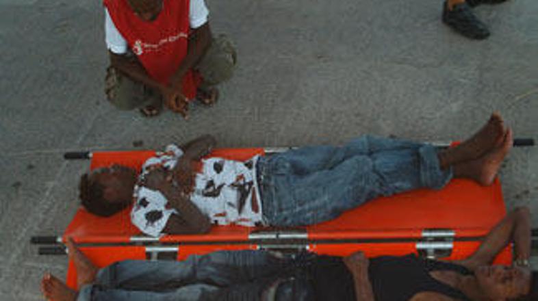 Preživele so našli močno dehidrirane.