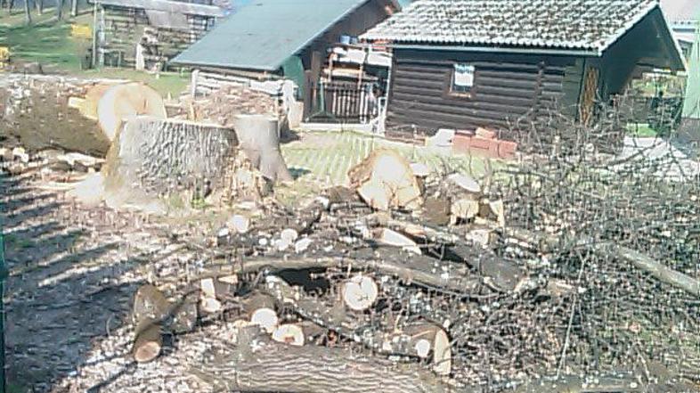 V blejskem naselju Dobe je zasebni lastnik brez soglasja občinske komisije požag