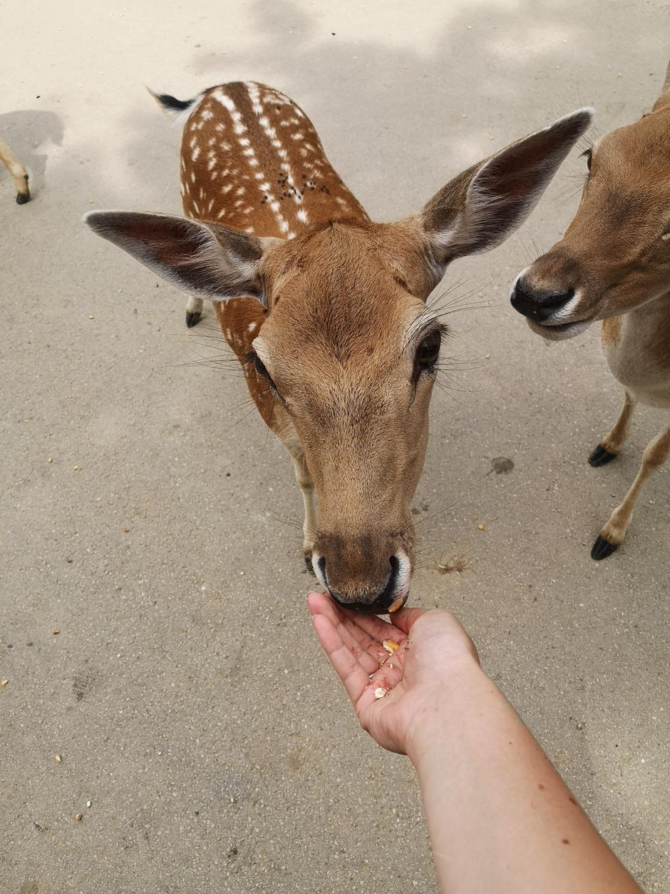 Podčetrtek | Avtor: Žurnal24 