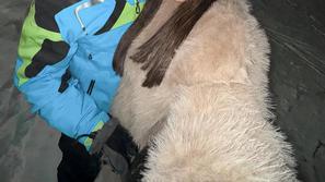 Anja Širovnik obrezano