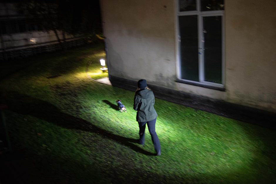 K9 | Avtor: Anže Petkovšek