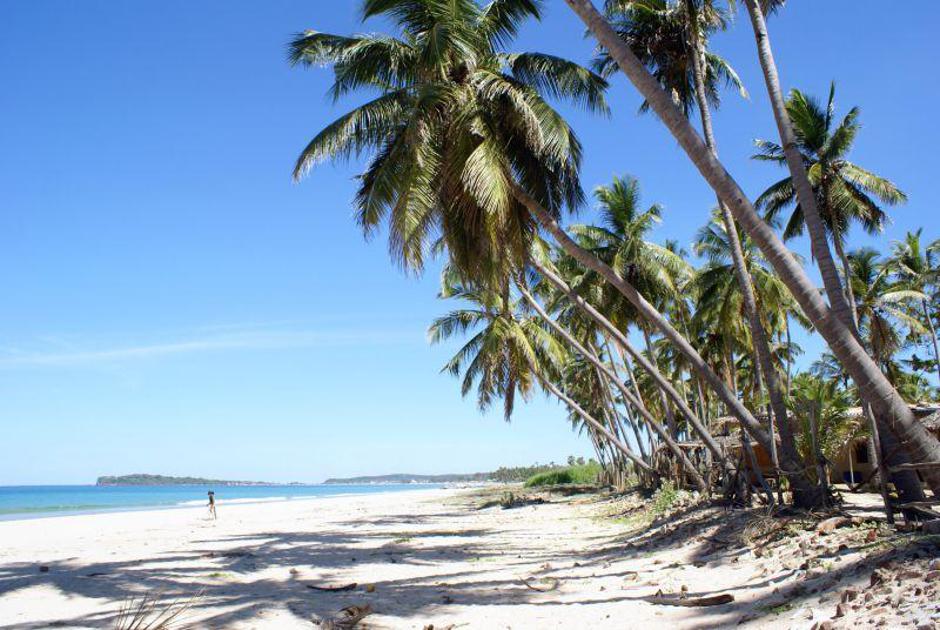  | Avtor: Žurnal24 main