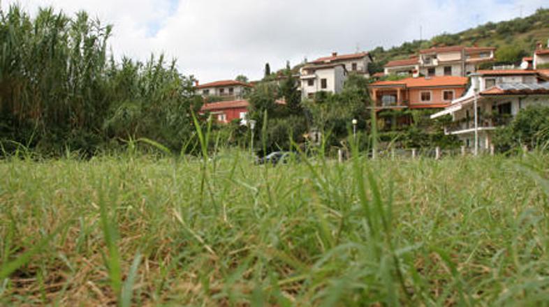 Piranska občina naj bi bodočo sosesko Kampolin – terase namenila predvsem družin