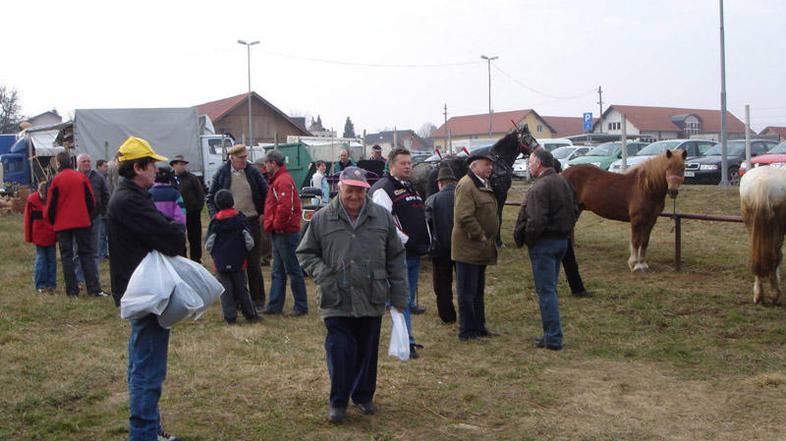 Konji so vedno vlekli voz šentjernejskega sejma, ki je brez njih izgubil svoj ča