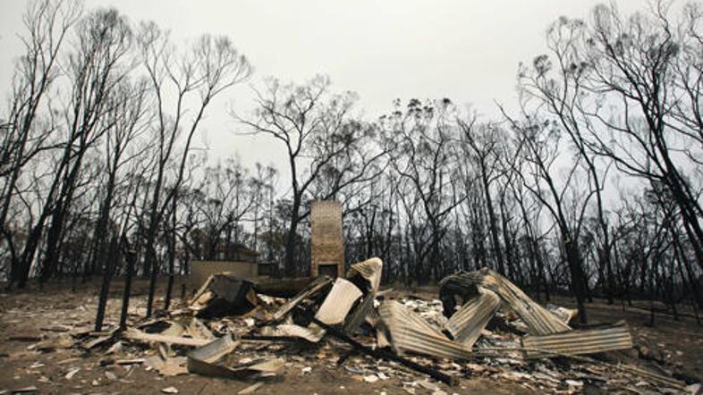 Požar je pogoltnil hektarje gozdov in uničil okoli 1800 hiš. Preiskovalci na pog