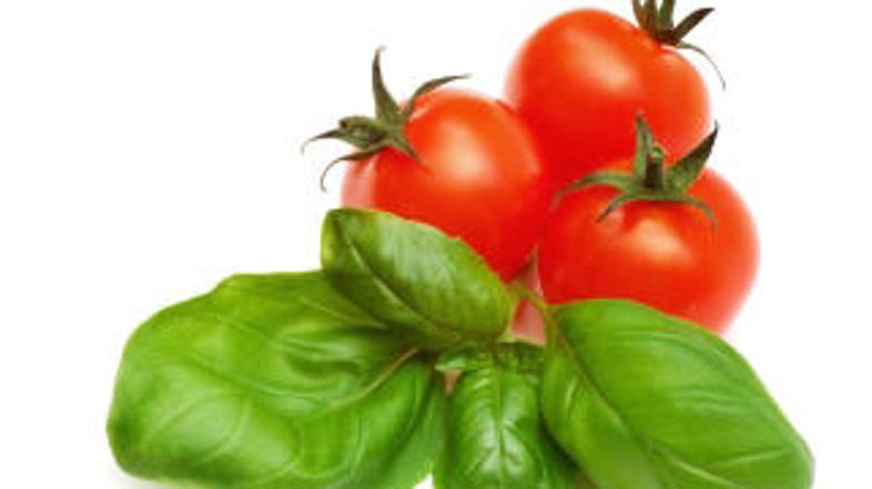 Bazilika in paradižnik, večna kombinacija.