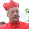 Kardinal Rode papežu uradno ni izrazil želje, da bi si še želel opravljati nalog