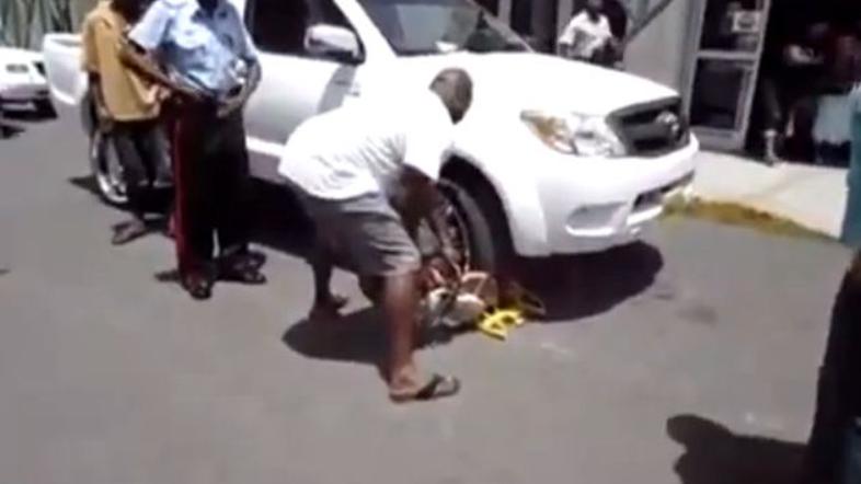 S cirkularko nad lisice