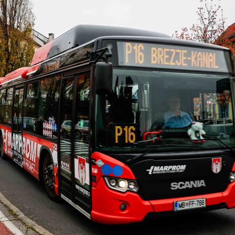 Marprom avtobus