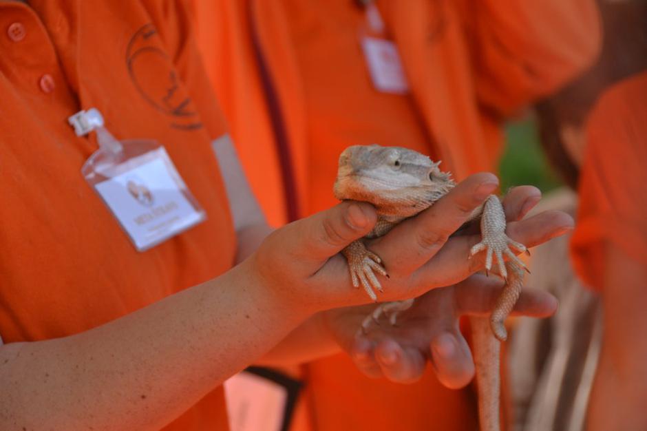 12. obletnica Ambasadorjev nasmeha | Avtor: Anja Ščuka