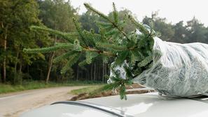 Avto in božično drevo