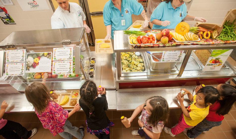 Drama pri sosedih, med šolsko hrano našli mrtvo miš