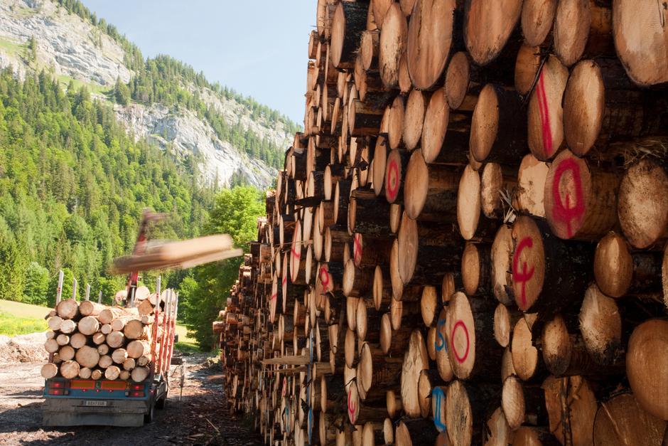 hldovina | Avtor: Profimedia