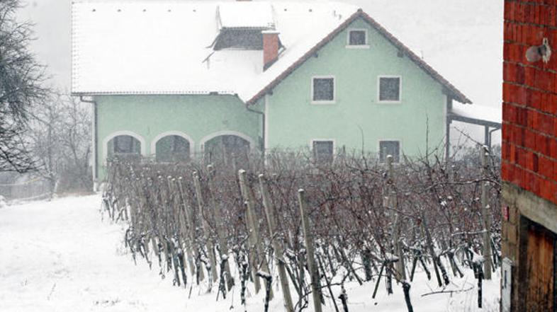 Ker se je moškemu pri dejanju zaskočila pištola, je partnerico pokončal s kmetij