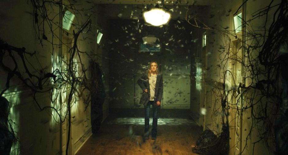 before i wake | Avtor: Profimedias