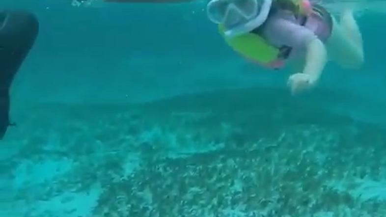 Petletna deklica plavala z morskimi psi.