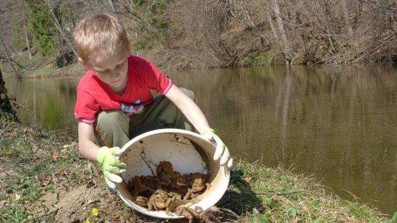 Pomoč žabam