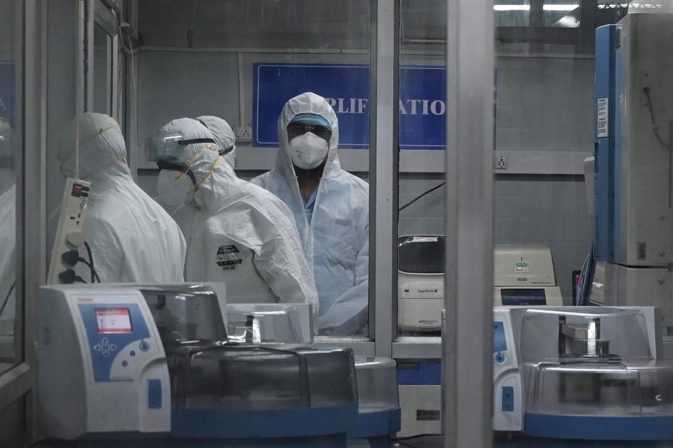 opičje koze izbruh who