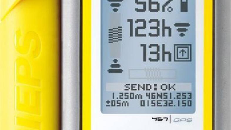 plazovna žolna Pieps Vector