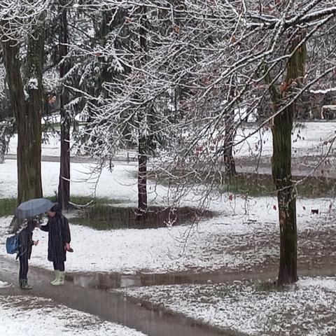 Zima, sneg, Ljubljana