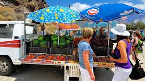 stojnica sadje zelenjava prodaja