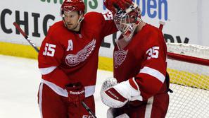 detroit red wings