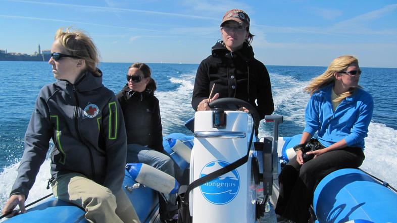 Aktivistke Morigenosa med sistematičnim opazovanjem naravnega rezervata Strunjan