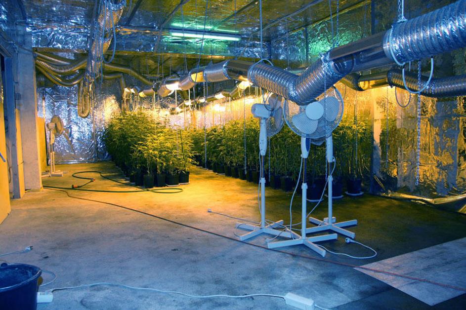 marihuana, laboratorij, Litija