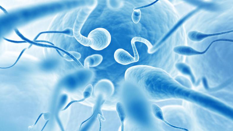 Prvi "otrok iz epruvete", danes 32-letna Louise Brown, je pred sedmimi leti povi