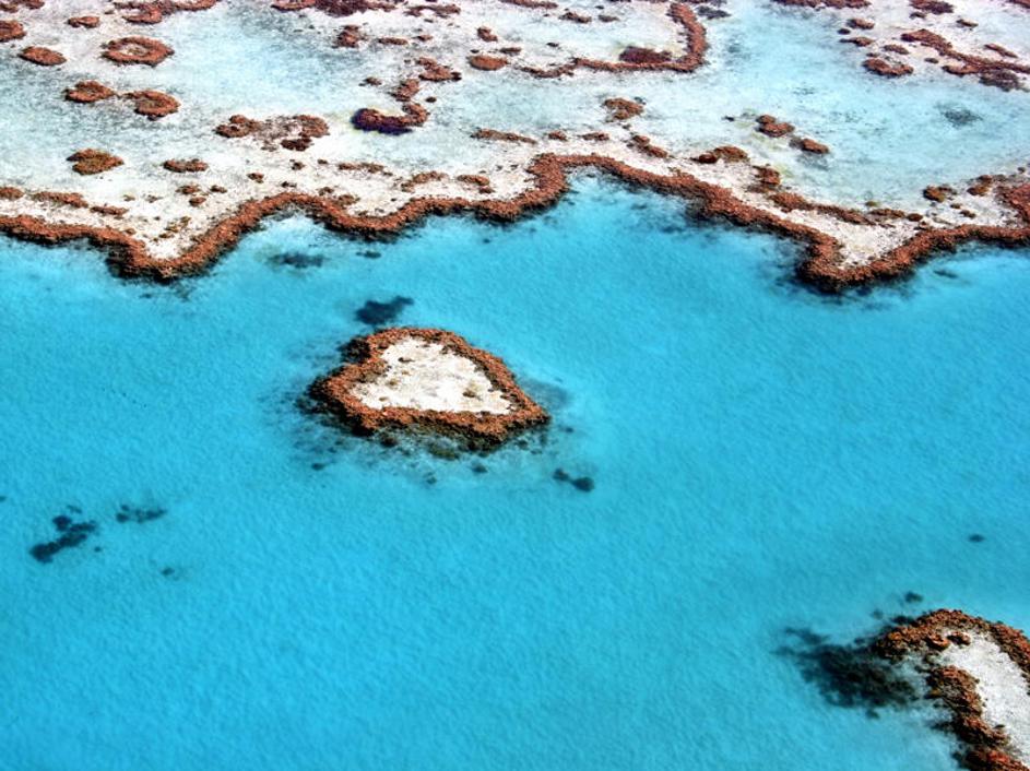 Veliki koralni greben, Avstralija