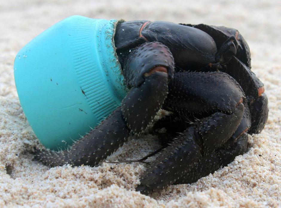 Henderson  | Avtor: Profimedias