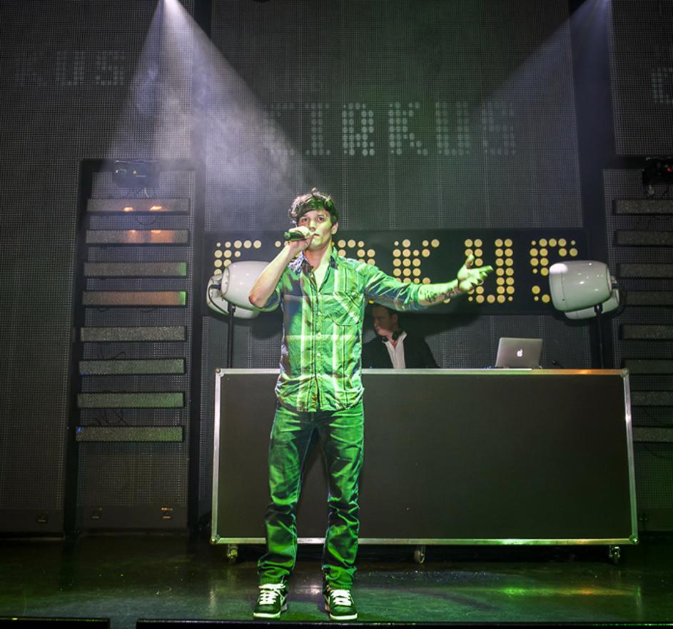 Mister Slovenije 2013