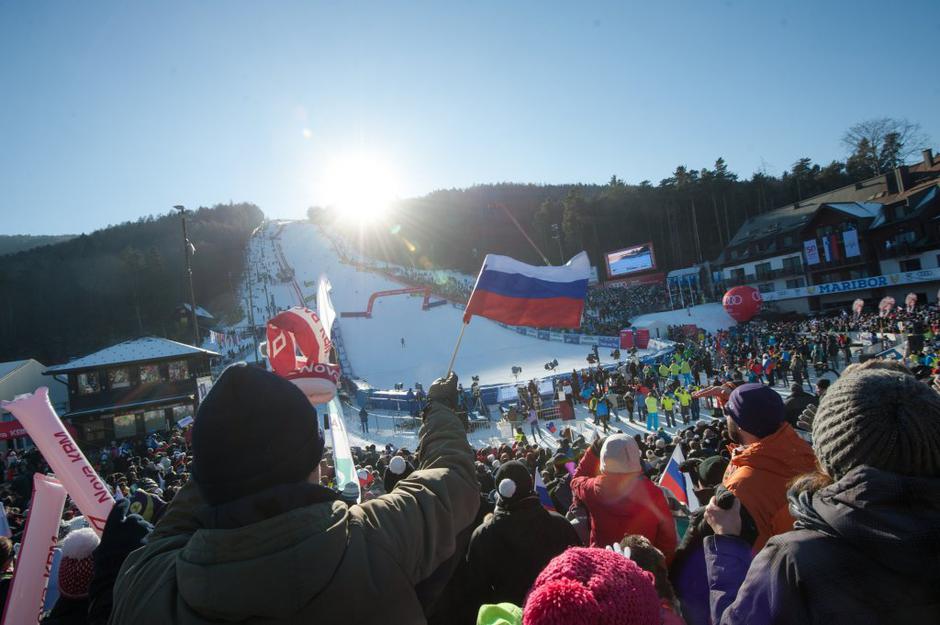 53 zlata lisica | Avtor: Anže Petkovšek