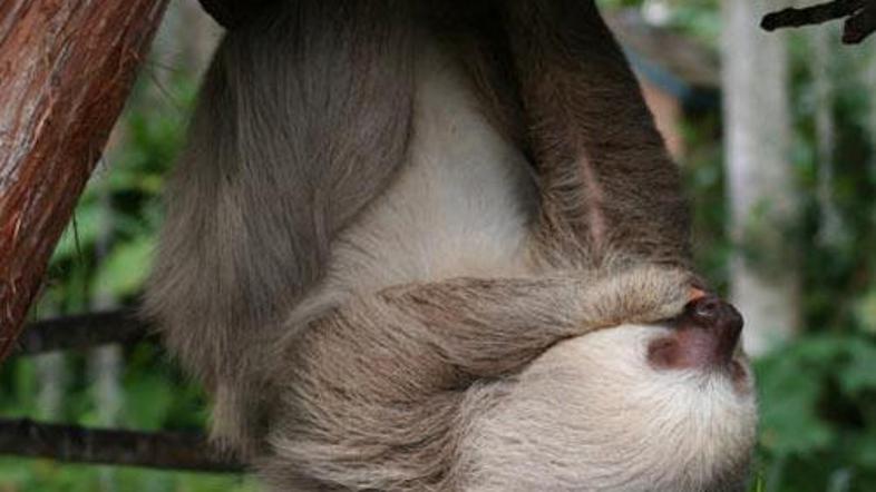 Skupina oxfordskih znanstvenikov, ki so izsledke svojih raziskav objavili v časo
