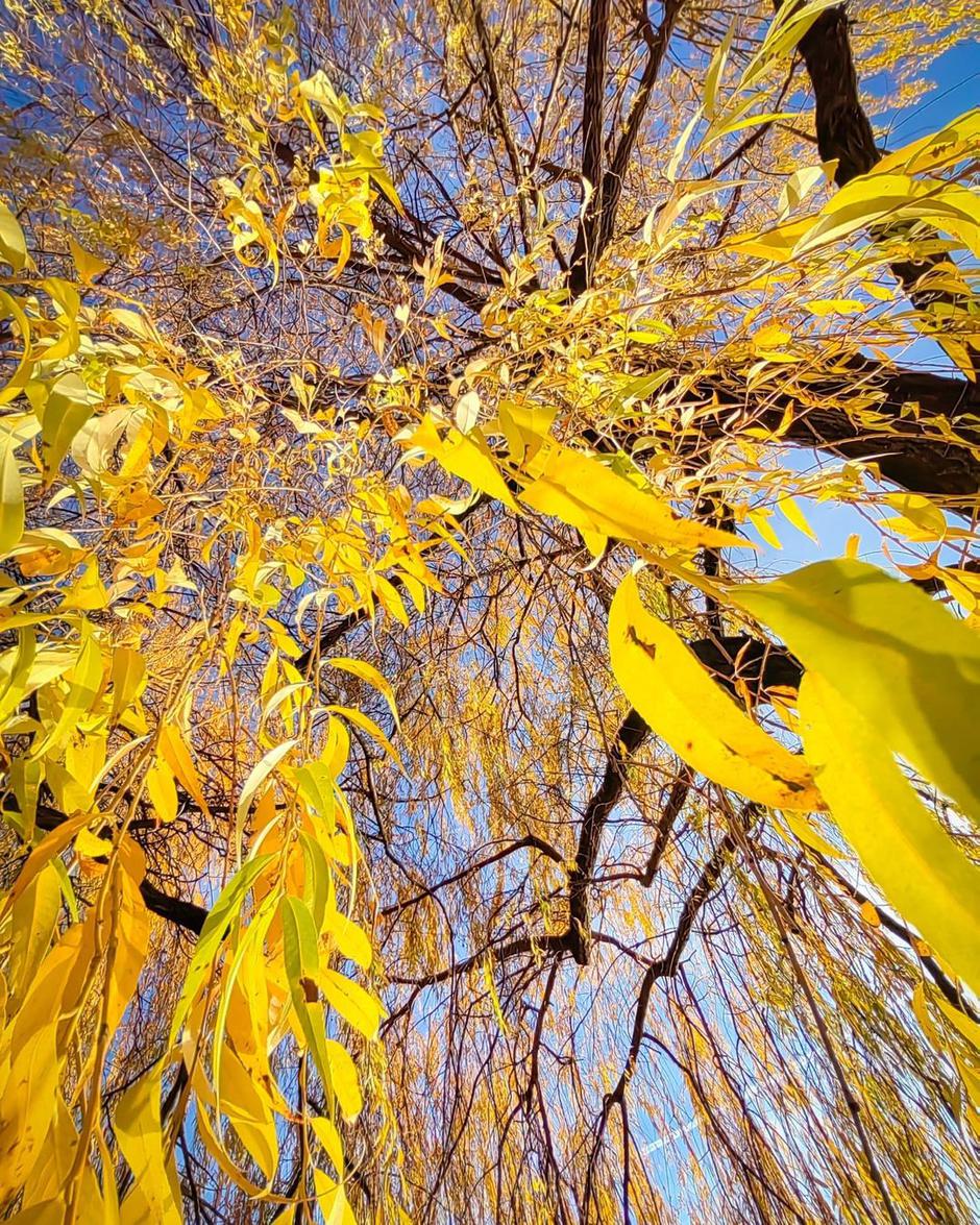 Komotar, Huawei | Avtor: Huawei