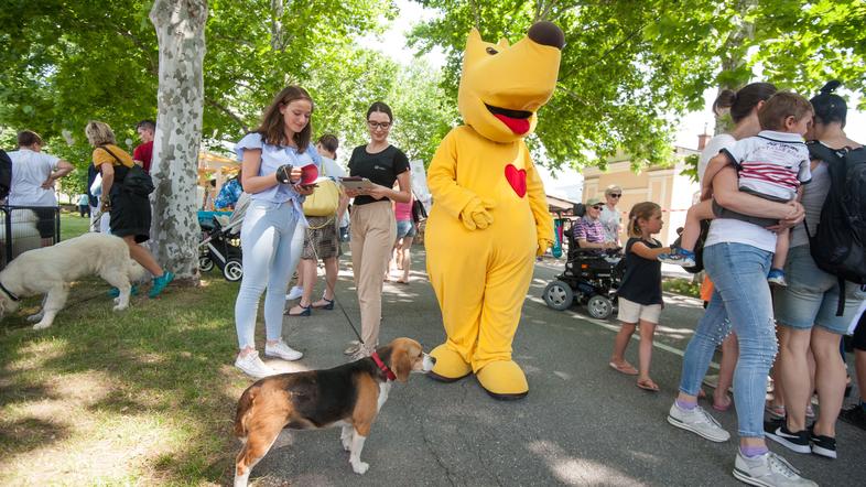 Festival za ljubitelje živali v Novi Gorici