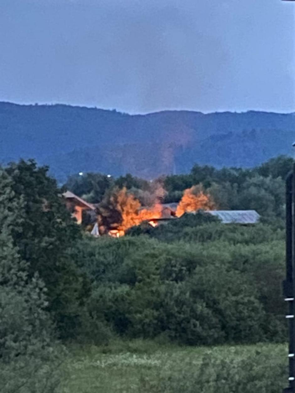 Kurjenje Grosuplje Romi | Avtor: Bralec