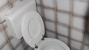 Stranišče v Ljutomerju.