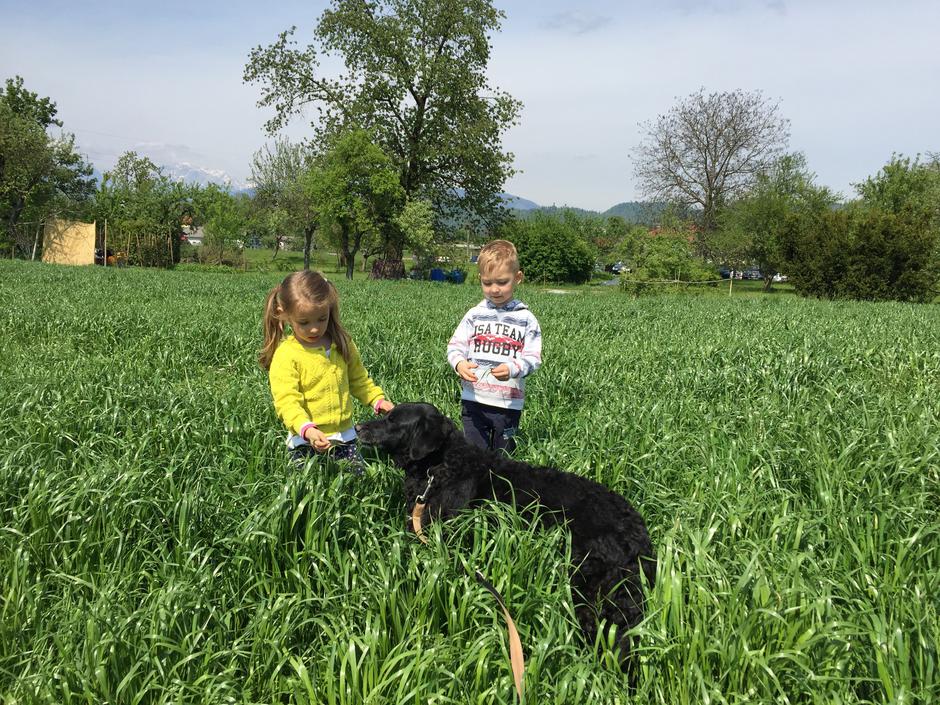 Urša, Kam z mulcem | Avtor: Andreja Cilenšek