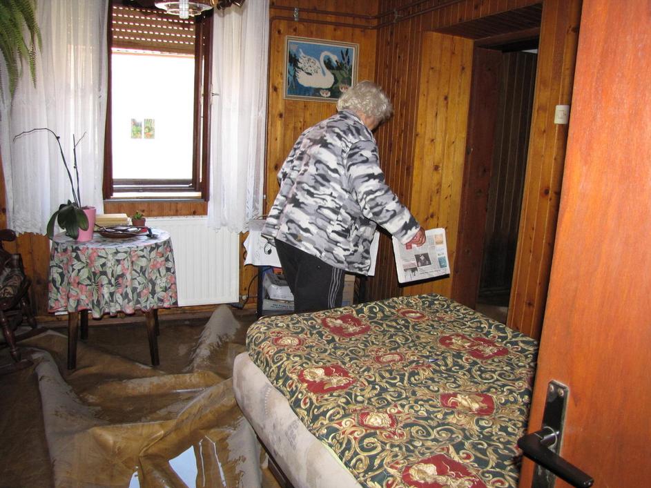 Kostanjevica na Krki