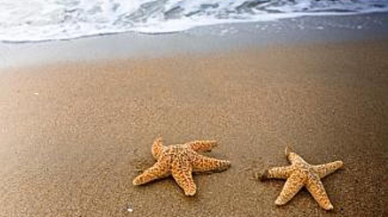 Poležavanje na plaži imajo mnogi za "uničevalca" ljubezni. Zato ne počnite tega 