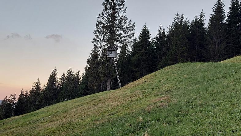 Sorica, lovska opazovalnica