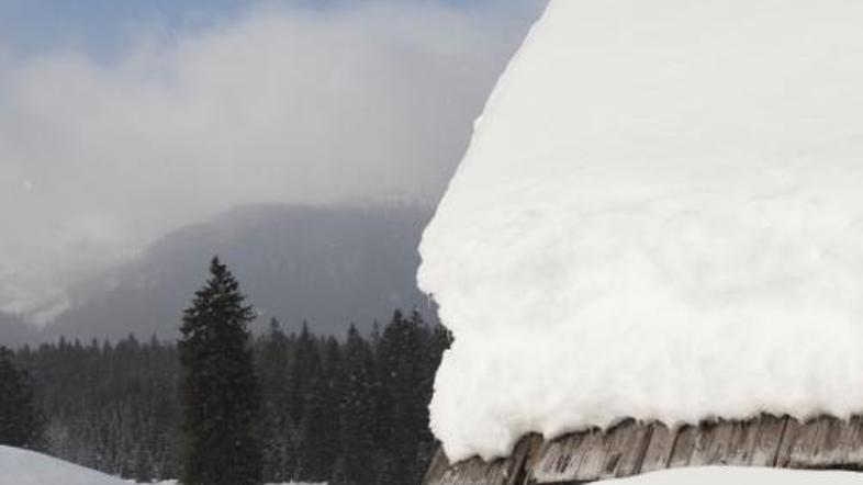 Tudi Pokljuko letošnjo zimo pokriva debela snežna odeja.